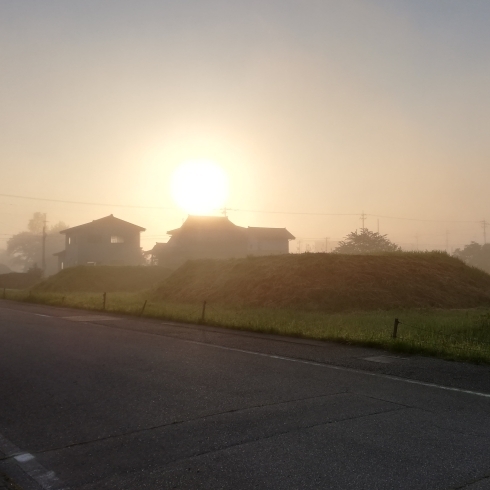 「朝ラン！すごい霧( ￣▽￣)」