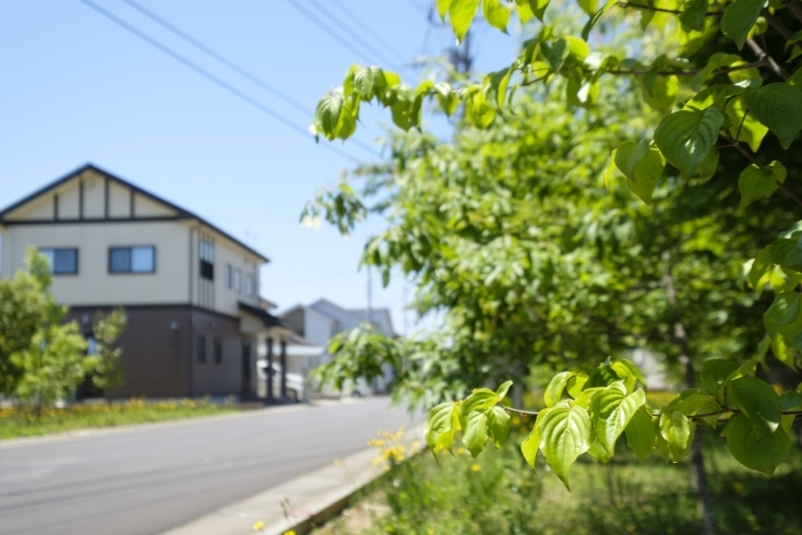 分譲地内は東京ドーム約9個分の広さがあります！！「毎月支払う家賃のこと、今こそしっかり考えてみませんか？」