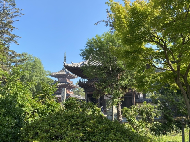 青空と新緑と鶴林寺の山門「コロナが教えてくれたもの。」