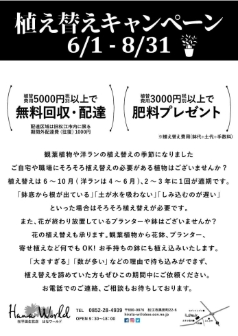 植え替えキャンペーン「植え替えキャンペーン」