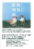 ちいさな野鳥彫刻展」 | 九州電力株式会社 宮崎支店営業部の