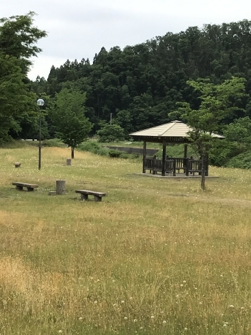 ベンチも東屋もありますよー「お外で遊ぼう」