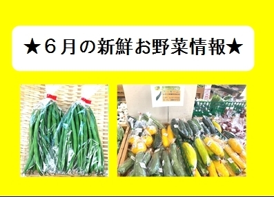 6月の新鮮お野菜情報「★6月の新鮮お野菜情報★」