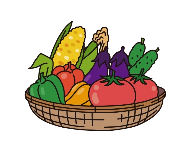 「夏の野菜の特徴」