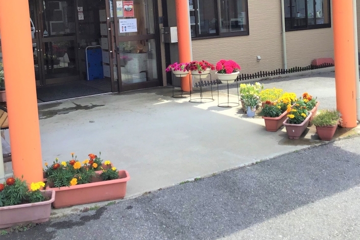 玄関前を飾る花もご利用者様に植えていただきました！「「穏やかな日々」」