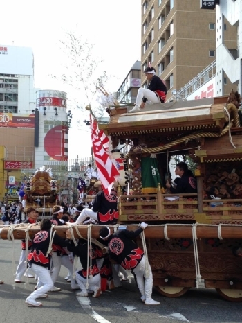 生で見るだんじりはとても迫力がありました。