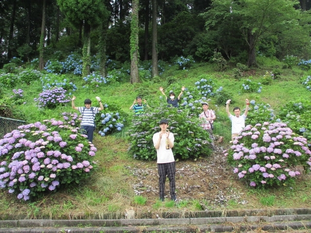 「紫陽花を見に行きました」