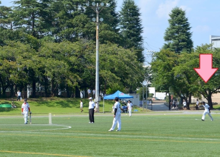 右端のボウラー（投手）にご注目！