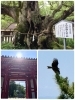 7月5日は山羊座に位置する満月です 心と体と天然石の浄化をしましょう きれいな天然石 クリスタルのニュース いたみん 伊丹市