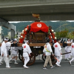 小倉神社の神輿巡行が行われました（2019年11月3日）