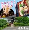 さくさく天ぷらがうまい はちまん の天ざるうどん 縁活みやざきのニュース まいぷれ 宮崎