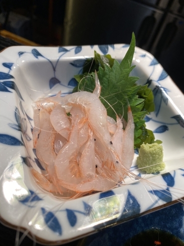 富山県産の白海老、口の中に広がる上品な甘み！「日本酒と共に…焼肉屋さんの魚介類。。」
