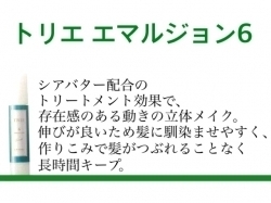 「【商品】トリエ エマルジョン６｜ヘアーメイク　カラーズ」