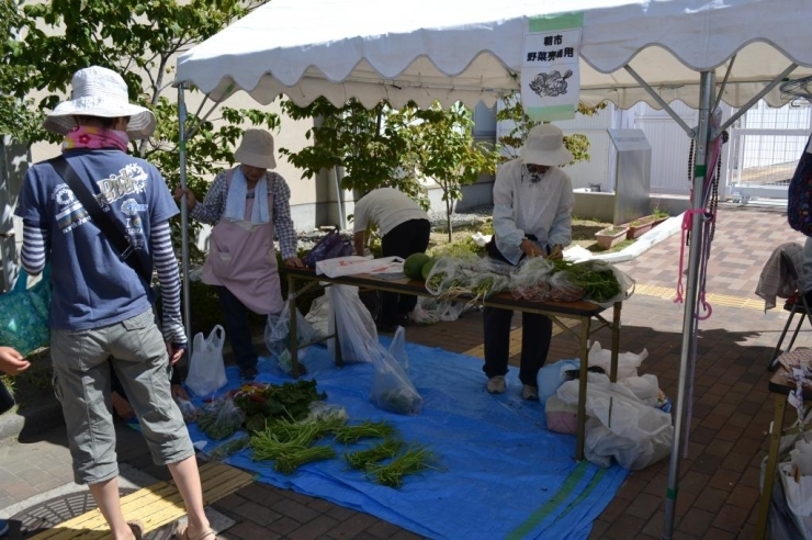 朝市恒例の獲れたて野菜市。<br>今回も大人気です！！