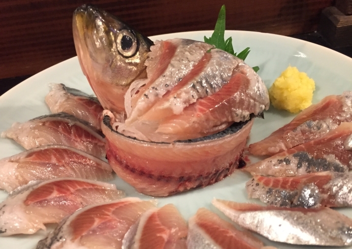 大阪湾　いわしの姿造り「今日はこれで！」