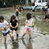 今年の田植え、始まります。