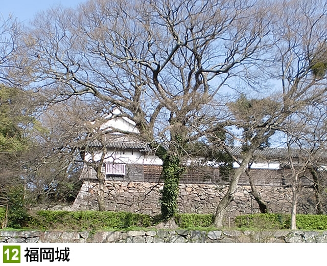 江戸時代からある城、歴史を感じますね。