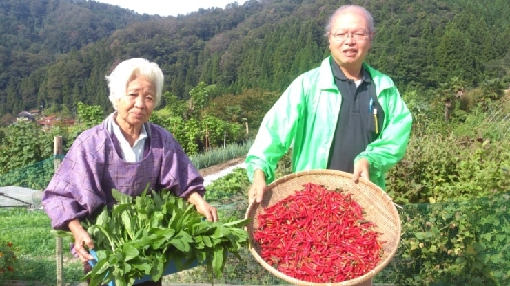 島根県の自然豊かな山々に囲まれたまち、飯南町。