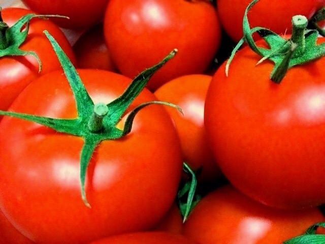 「【トマトの日】トマトの栄養と薬効【船橋市の鍼灸専門院　心月院】」