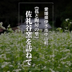 【愛媛県伊予市中山町】花と陶房の里・佐礼谷窯を訪ねて