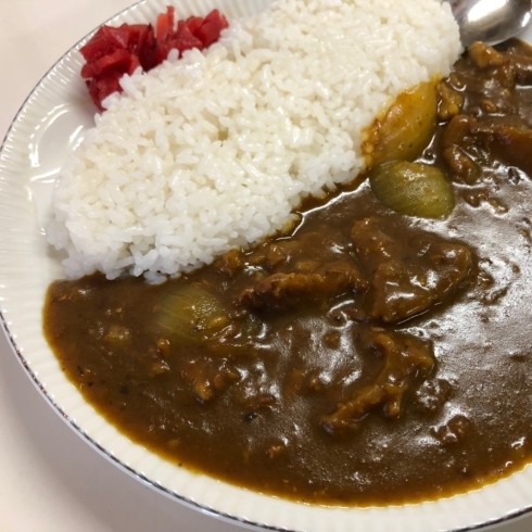 「スジ肉カレー始めました」