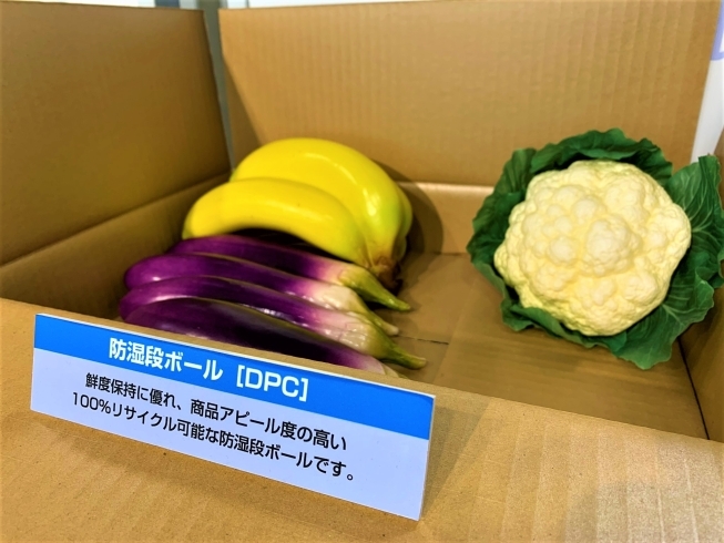 「福島の新鮮な野菜や果物の輸送に最適な「防湿段ボール」を製造しています。」