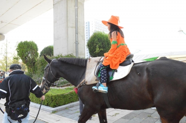 ポニー試乗会。大きなお馬さんもいました！