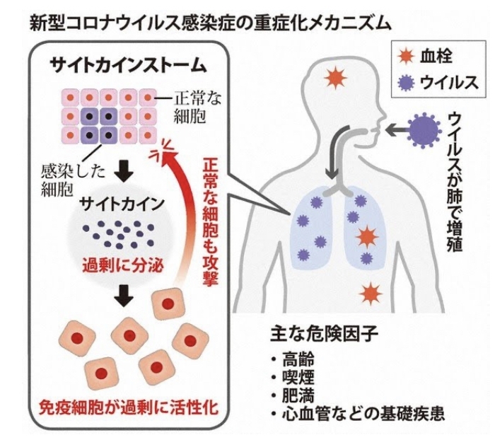 サイトカイン