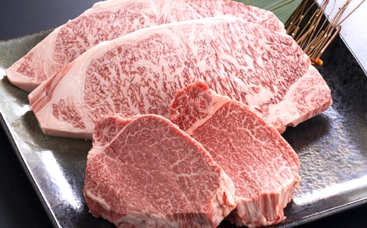 「牛肉の最上等級A5★鳥取県産黒毛和牛ヒレ・サーロイン食べ比べ」