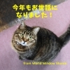 本年も大変お世話になりました 有限会社ワールドウインドー庄内のニュース まいぷれ 酒田