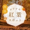 【2025年】西条市内の紅葉スポットまとめ