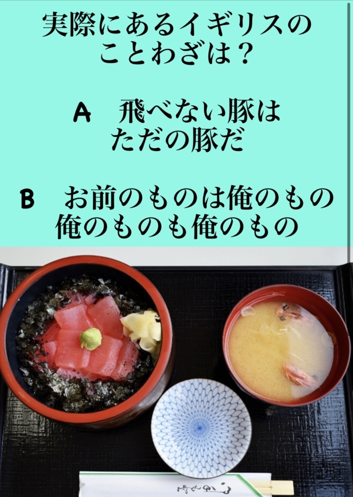 豚 ただ ない だ の 飛べ は 豚 「紅の豚」のあの名言 「飛べない豚はただの豚だ」、英語で？