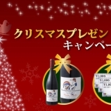 クリスマス プレゼント キャンペーン！