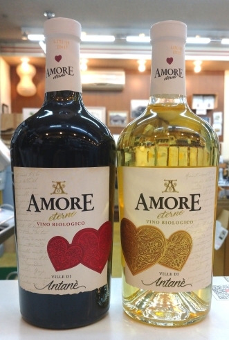 アモーレ  オーガニック「イタリアの有機栽培ブドウによる美味しいワイン、バレンタインにも！」