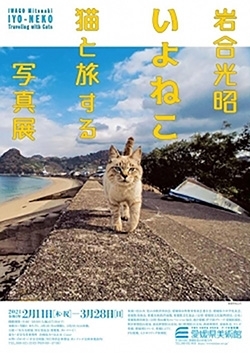 「【2021年 2/11～3/28】岩合光昭　いよねこ 猫と旅する写真展」