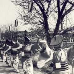 “桜まつり(吹上会場)” の いま・むかし