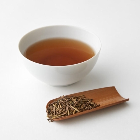 「生活習慣病の予防にも！　ほうじ茶の効能とおいしい淹れ方」