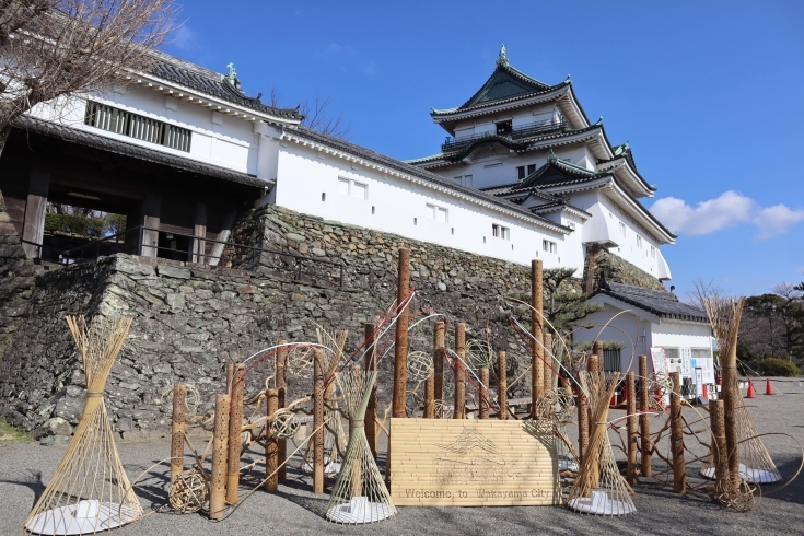 和歌山城(2月に撮影)「魅力いっぱい！定番観光スポット「和歌山城」」