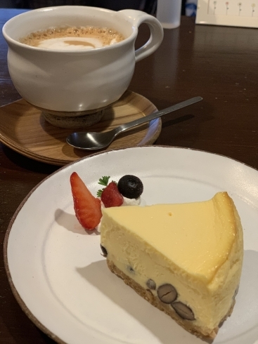 「とろんとろん♥濃厚チーズケーキ　福井駅前でカフェタイム♪」