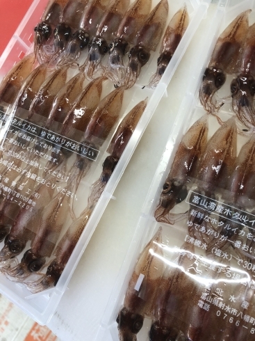 富山の蛍烏賊ボイルと違い味が格段に美味しい「お知らせ」