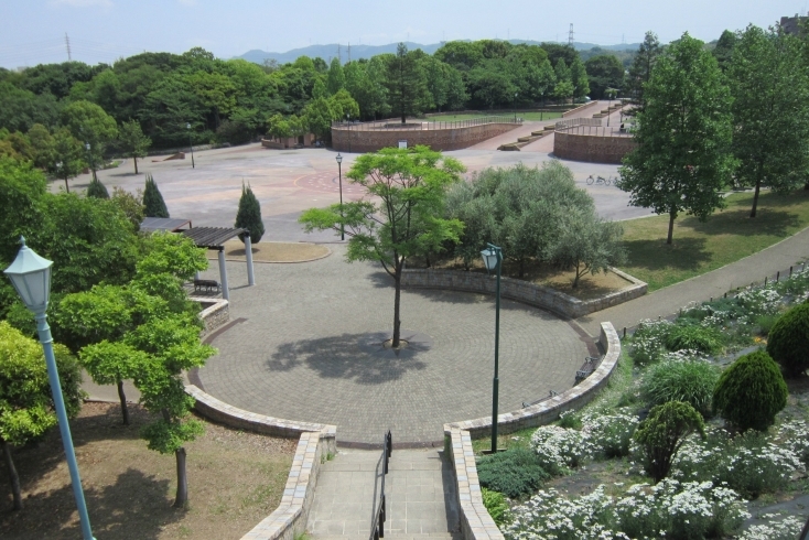 「寝屋川公園」木漏れ日溢れる公園で、スポーツが満喫できます！