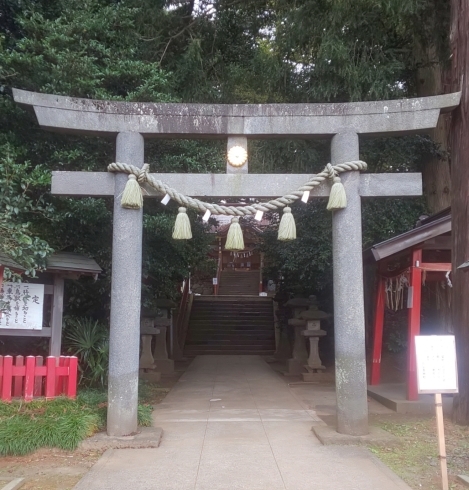 ここの鳥居をくぐると、一気に空気感の違う世界へ「占い師と行く神社巡り～麻賀多神社その1～」