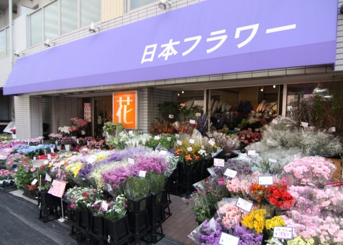 「日本フラワー」驚きと感動の花屋「日本フラワー」です！