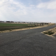 【10km超えコース】水管橋を励みに!荒川土手を走るコース