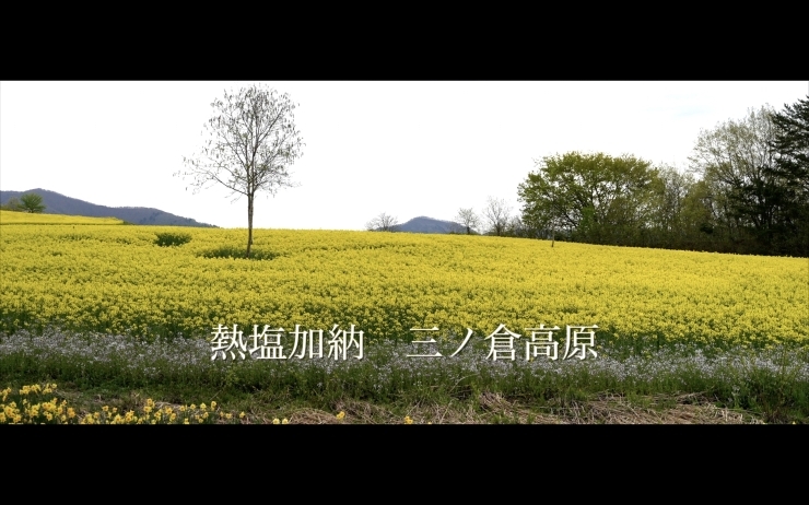 「熱塩加納の三ノ倉高原の菜の花畑を撮影して来ました。」