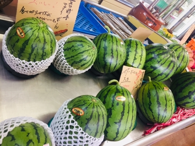 「スイカ（マダーボール）が入荷しています！【お肉・野菜・果物は清武町の黒木商店で♪】」