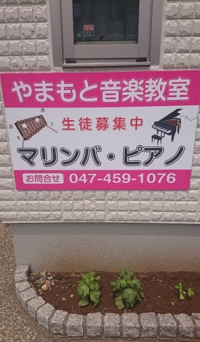 ＮＥＷ看板！！「ＮＥＷ！！看板！！～千葉県八千代市のマリンバ・ピアノ・脳トレピアノ®️教室 一緒に音楽楽しみませんか？～」
