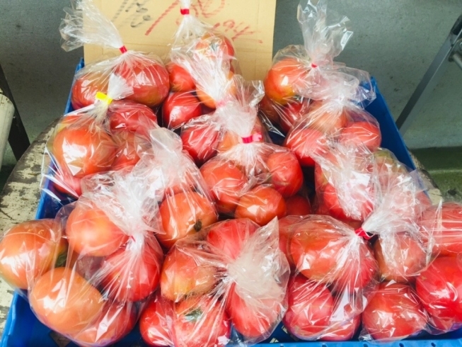 「宮崎産のトマト・ナス・ごぼう！【お肉・野菜・果物は清武町の黒木商店で♪】」