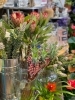 みい　ネイティブフラワー80本 image.php?id=1972576&p=shopn&s