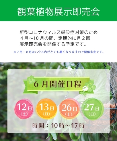6月開催日程「【6月】観葉植物展示即売会のお知らせ」